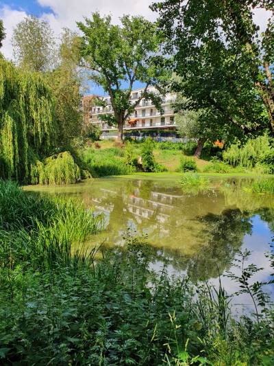 Modern wohnen am Kreuzpfuhl, Foto Dr. Kersten Schulz