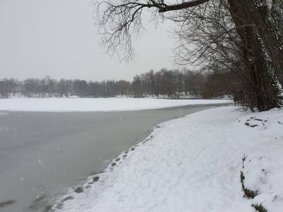 Weiensee im Winter 2020/2021, Foto Dr. Kersten Schulz