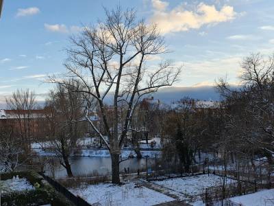 Weiensee im Winter 2020/2021, Foto Dr. Kersten Schulz