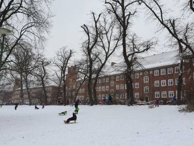 Weiensee im Winter 2020/2021, Foto Dr. Kersten Schulz