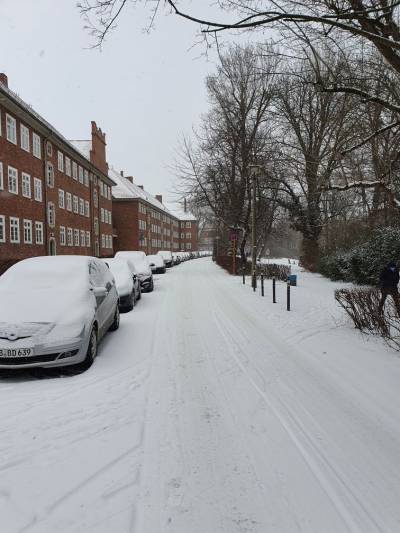 Weiensee im Winter 2020/2021, Foto Dr. Kersten Schulz