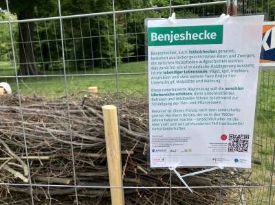 Benjeshecke (als Bsp. aufgebaut), die fr die Ufersicherung aufgebaut werden soll